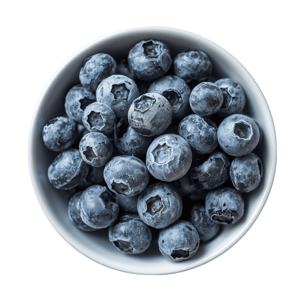 Bulk IQF frozen blueberries in a bowl